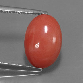 Coral rosa natural de 3,33 ct, corte óvalo, opaco