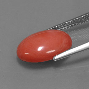 Coral rosa natural de 3,33 ct, corte óvalo, opaco