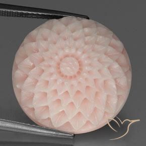 24.56ct Natural Rosado salmón Coral, Corte Flor, Opaco, Photo A