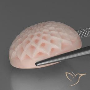 Coral Rosado salmón natural de 24.56 ct, Corte Flor, Opaco
