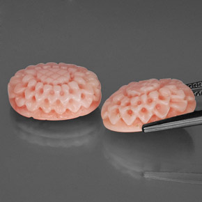 Gemas de coral rosa natural de  ct, forma elegante, opaco