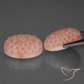 Gemas de coral rosa natural de 14,42 ct, forma elegante, opaco