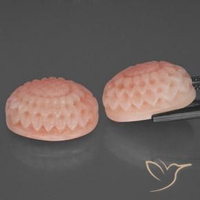 Gemas de Coral Rosado medio natural de 17.76 ct, Elegante, Opaco