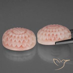 Gemas de Coral Rosado azulado natural de 17.46 ct, Elegante, Opaco