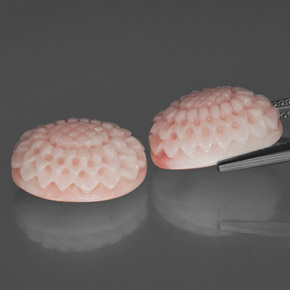 Gemas de coral rosa natural de  ct, forma elegante, opaco