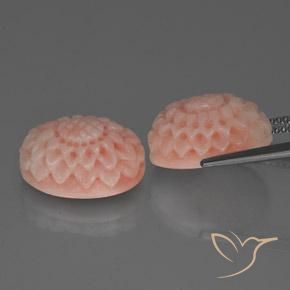 Gemas de Coral Rosado flamingo natural de 16.80 ct, Elegante, Opaco
