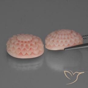 Gemas de Coral Rosado salmón natural de 16.64 ct, Elegante, Opaco