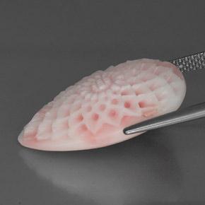 Coral Rosa natural de 13.69 ct, Forma elegante, Opaco