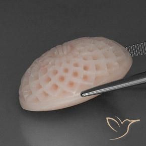 Coral Rosado claro medio natural de 20.80 ct, Elegante, Opaco