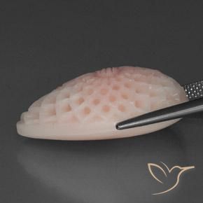 Coral Rosado claro natural de 21.17 ct, Elegante, Opaco