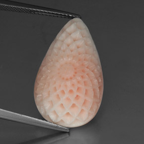 Coral blanco natural de 19,21 ct, forma elegante, opaco