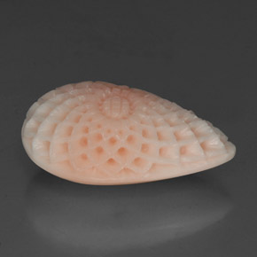 Coral blanco natural de 19,21 ct, forma elegante, opaco