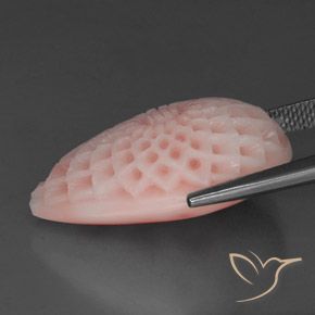 Coral Rosado claro natural de 21.55 ct, Elegante, Opaco