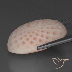 Coral Rosado salmón natural de 29.15 ct, Corte Flor, Opaco