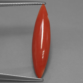Coral rosa natural de 2,45 ct, marquesa, opaco