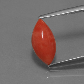 Coral rosa natural de 1,23 ct, marquesa, opaco