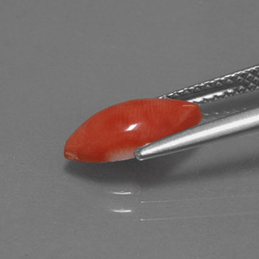 Coral rosa natural de 1,23 ct, marquesa, opaco