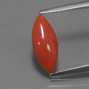 Coral rosa natural de 1,18 ct, marquesa, opaco