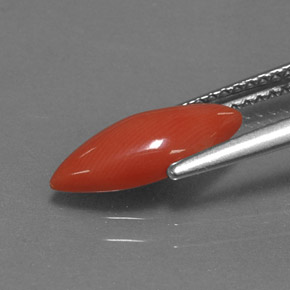 Coral rosa natural de 1,18 ct, marquesa, opaco