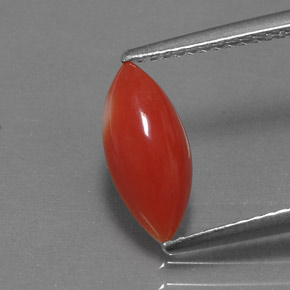 Coral rosa natural de 1,30 ct, marquesa, opaco