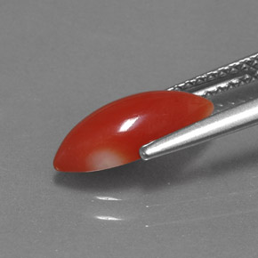 Coral rosa natural de 1,30 ct, marquesa, opaco