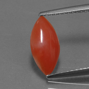 Coral rosa natural de 1,16 ct, marquesa, opaco