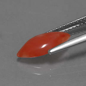 Coral rosa natural de 1,16 ct, marquesa, opaco