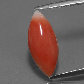 Coral rosa natural de 2,56 ct, marquesa, opaco
