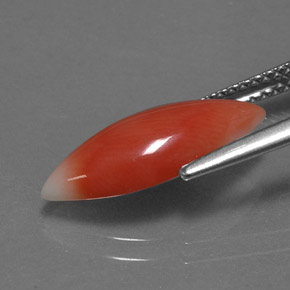 Coral rosa natural de 2,56 ct, marquesa, opaco