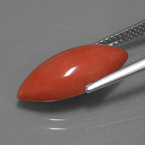 Coral Salmon blanco natural de 4.46 ct, Marquesa, Opaco