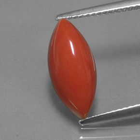 Coral rosa natural de 3,54 ct, marquesa, opaco