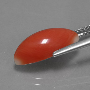 Coral rosa natural de 3,54 ct, marquesa, opaco