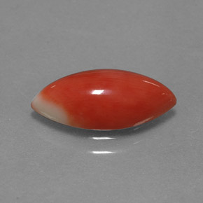 Coral Salmon blanco natural de 2.34 ct, Marquesa, Opaco