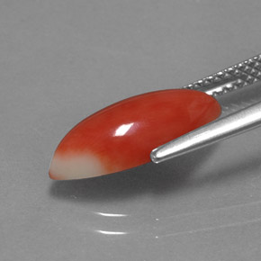 Coral Salmon blanco natural de 2.34 ct, Marquesa, Opaco