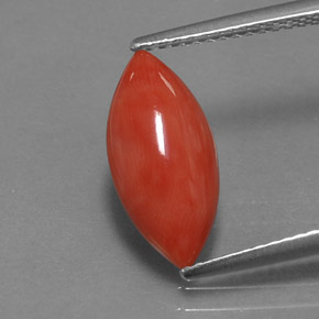 Coral rosa natural de 2,03 ct, marquesa, opaco