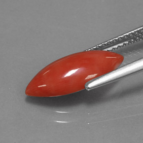 Coral rosa natural de 2,03 ct, marquesa, opaco