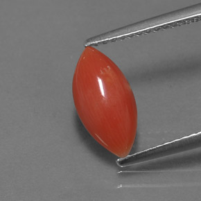 Coral rosa natural de 1,27 ct, marquesa, opaco