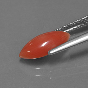 Coral rosa natural de 1,27 ct, marquesa, opaco
