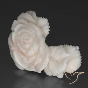 Coral Blanco rosado natural de 40.10 ct, Elegante, Opaco