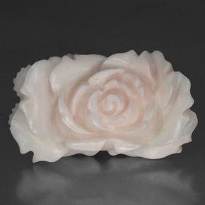 Coral blanco natural de 24,33 ct, forma elegante, opaco