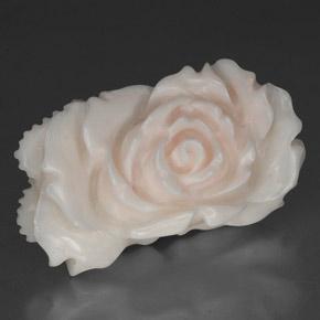 Coral blanco natural de 24,33 ct, forma elegante, opaco