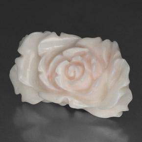 Coral blanco natural de 24,33 ct, forma elegante, opaco
