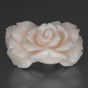 Coral blanco natural de 30,35 ct, forma elegante, opaco