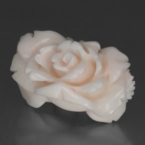 Coral blanco natural de 30,35 ct, forma elegante, opaco