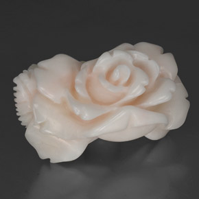 Coral blanco natural de 30,35 ct, forma elegante, opaco