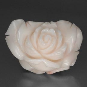 Coral blanco natural de 34,31 ct, forma elegante, opaco