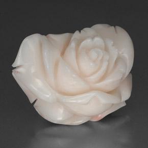 Coral blanco natural de 34,31 ct, forma elegante, opaco