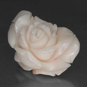 Coral blanco natural de 34,31 ct, forma elegante, opaco