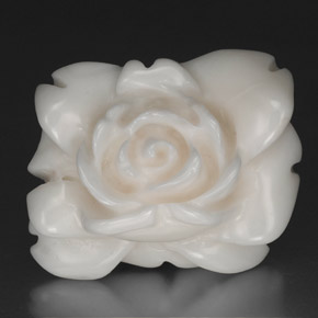 Coral Blanco natural de 27.83 ct, Forma elegante, Opaco