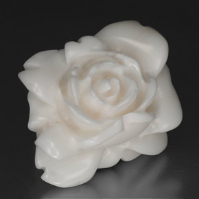 Coral Blanco natural de 27.83 ct, Forma elegante, Opaco